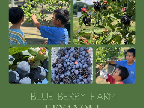 【パリｯ！プリｯ✨】トワイライト
400g