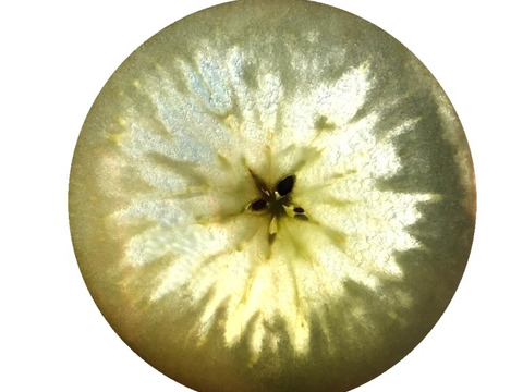 「話題の こうとく !! 」約2.7Kg青森県産 数量限定 高徳 りんご 『話題のリンゴはここみつけたら即買いをお勧めします!!』 林檎 apple