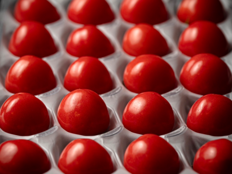 【金賞受賞】お試しセット①限定製造トマトジュース180ml×3本　②「美健トマト」200g×3袋