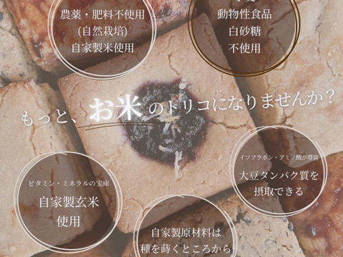 期間限定　自然栽培米と大豆を使ったグルテンフリー　玄米スコーン　5個入り