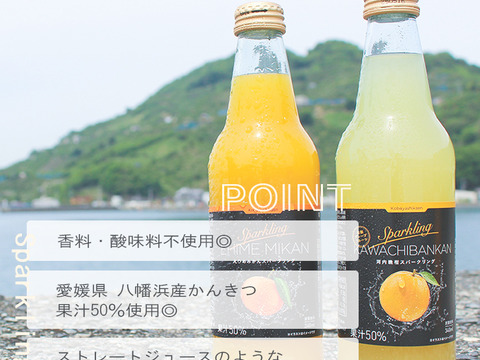 【訳あり】河内晩柑スパークリング340ml×6本