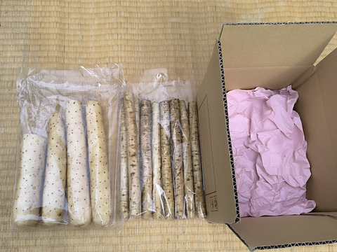 【使い切りセット】洗いネバリスター1kg＆洗いごぼう500g｜とろろ・きんぴらに