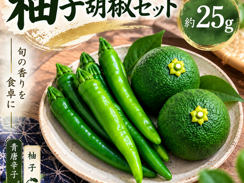 柚子と青唐辛子の手作り柚子胡椒セット【25g】：岡山県産の調味料