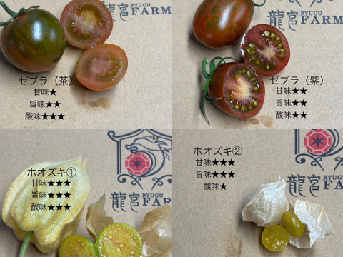 まるでトマトの宝石箱やぁ♪　思わずにっこり、龍宮ジュエリー（3.0ｋｇ）【トマト食べ比べ】