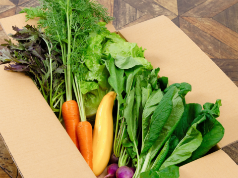 希少な自然栽培の野菜ボックス【Ｓサイズ】