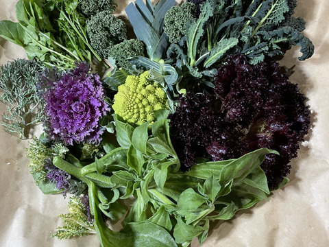 季節の野菜セット(約5~7品)＊Sサイズ