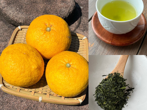 スルガ甘夏12kg＋静岡本山茶 新茶100g 2袋