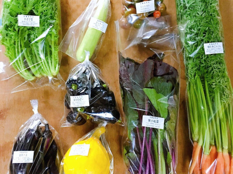 お待たせしました!販売再開*【無農薬】採れたての旬の野菜*小(5-8品目)