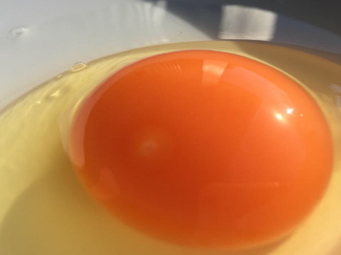 【福袋】たまごセット