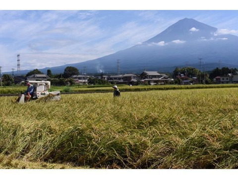 令和4年産　炊くとふっくら！霊峰富士山の湧き水が作った絶品コシヒカリ（20キロ） 白米 　米 こしひかり 静岡産　農家直送