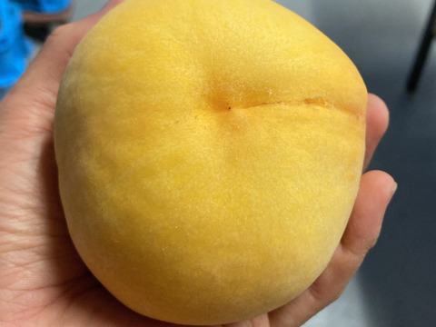 【贈答用】今シーズン最後にトロピカルな桃を！ 黄金桃　１.５kg  ４～６玉
