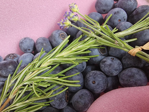 【中〜小粒】有機ブルーベリー（野菜ソムリエサミット金賞）お買い得品【数量限定】【生食用】2パック