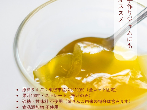 《自家用・限定20箱》山形県東根市産 ふじ100% りんごジュース（ストレート）1,000mL×2本