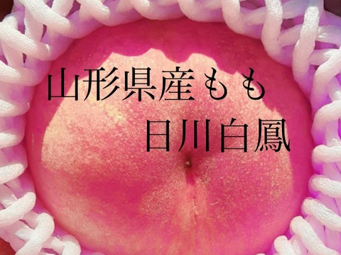 柔らかいもも♡日川白鳳♡お試しサイズ♡山形県産もも♡