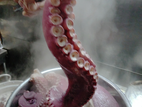 小泊産！ミズダコスライス100g5パック(冷凍)