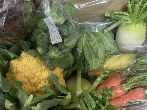 ❄☃️５品冬の野菜セット☃️❄