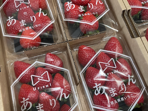 【いちご博2024金賞受賞！】先行予約開始！完熟U FIRM!あまりん8パックセット！　150g x 8p【順次発送】