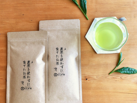 【ナチュラルな美味しさ】農薬・化学肥料不使用*茶農家の深蒸し茶50g×2袋