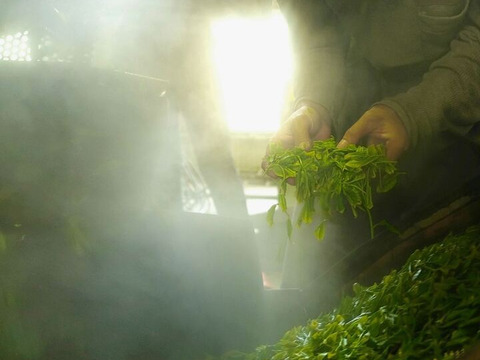 【新茶2025】五日摘み 新茶限定パッケージ♪　深蒸し煎茶 茶葉 2025 静岡茶 春の新茶 2025年産  お茶 緑茶 一番茶  新茶   日本茶 リーフ  深むし茶