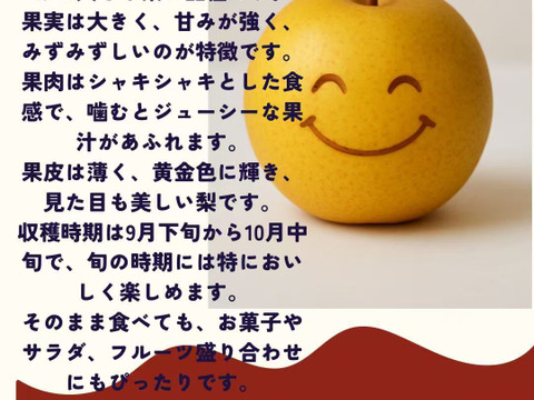 新高梨 にっこり梨 食べ比べセット 栃木産　3キロ(5-6個)
