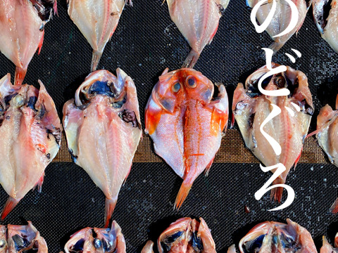 【福袋】５種類★千葉ブランド金目鯛入り！ごはんのおかずにぴったり！