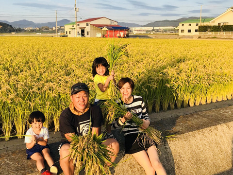 大特価品 令和7年 淡路島産キヌヒカリ 玄米30キロ：兵庫県産のお米