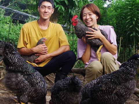 【母の日ギフト】【Aセット】国産飼料の放牧卵「君は太陽」と至福の焼き菓子セット
