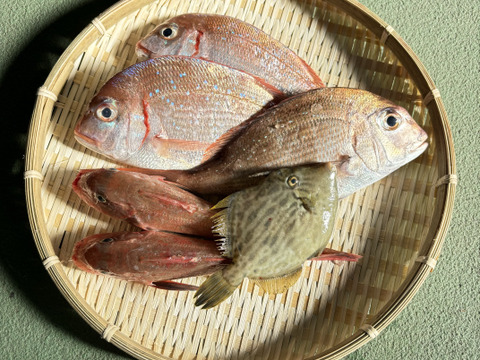 美味しいけん食べてみて
🐟未利用魚🐟詰め合わせ！
1.0kg～1.5kg前後(2〜4種類)80サイズ
