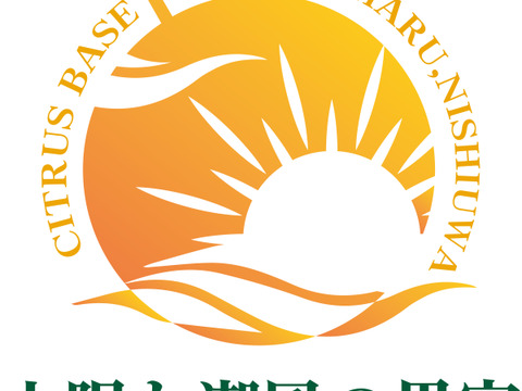 プチプチ甘～い！ひめまる甘平【特秀・贈答用３Kg】