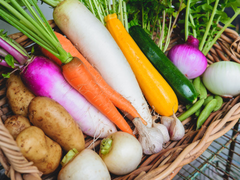 【６月の有機野菜】　有機JAS認証　オーガニック野菜　Ⅿセット
（静岡県内最大の有機野菜農園　しあわせ野菜畑の６月の有機野菜セット）