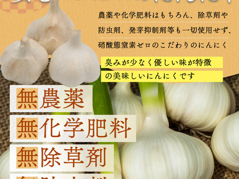 ★『農薬・化学肥料・除草剤・防虫剤等不使用』 福地ホワイト六片 にんにくバラ  ５kg ★