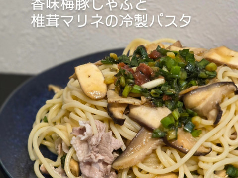 【夏ギフト】徳島県産三ツ星しいたけ「夏華（なつか）」300g×2パック