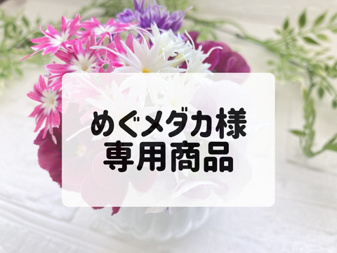 【めぐメダカ】様　専用商品