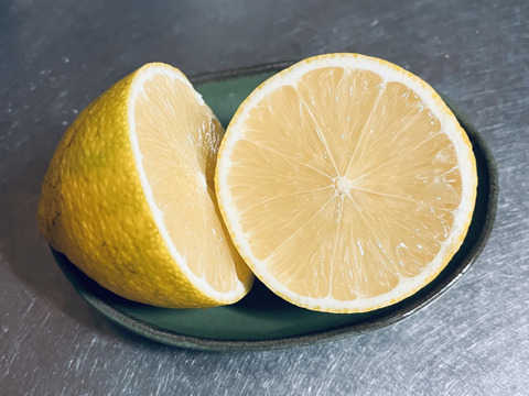 大玉レモン「りのか」(5kg)自然栽培！ほぼ種無し、果汁たっぷり！