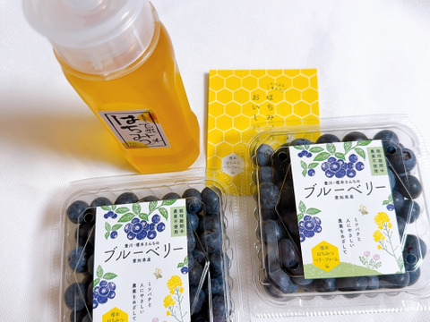 【福袋2025】【18年間農薬不使用】みつばち畑のブルーベリー＆【液だれ防止倒立ボトル】非加熱はちみつのセット（第一弾のみ）