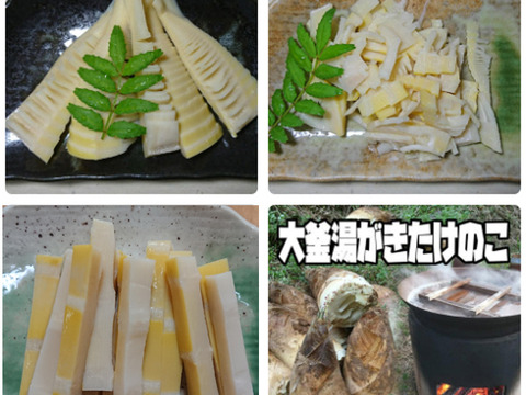 【sasaさん専用】調理の手間なし・穂先たけのこ２，刻みたけのこ１