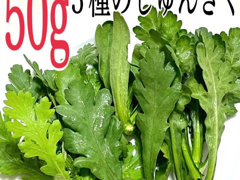 3種の春菊食べ比べセット50g