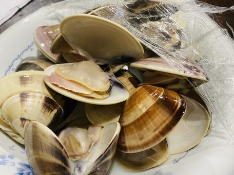 真空冷凍はまぐり　1個50〜70g   500g入り×1パック