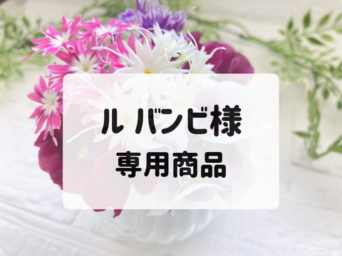 ル バンビ様　専用商品　【マイクロリーフ・エディブルフラワー セット】