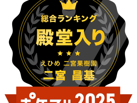 箱込約1㌔×２　マドンナ＆甘平　食べくらべセット　愛媛県オリジナルドリームタッグ　他ではないこの組み合わせ　生産者の匠の技と技術の結晶　この感動的な衝撃的なおいしさ
