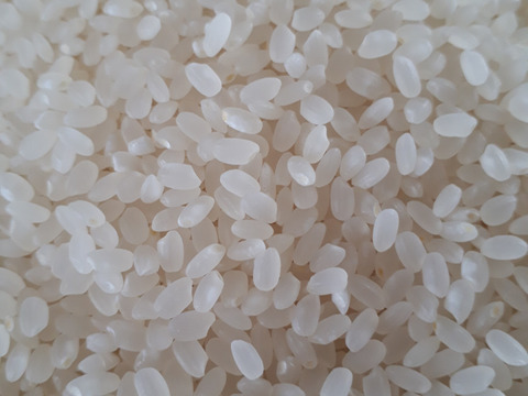 【北海道産】希少品種！特別栽培米ゆきひかり〈白米4kg〉