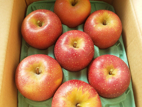 2025年度予約始めます🙇このりんご絶対食べて欲しい‼️甘くて芳醇な香り🍎千雪りんご3キロ