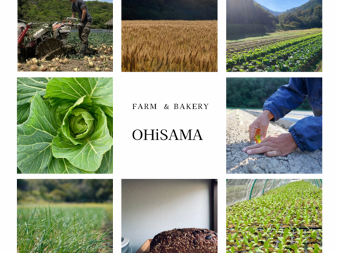 神様のお米イセヒカリ！『アイガモ農法米』農薬、化学肥料不使用！玄米10kg淡路島産