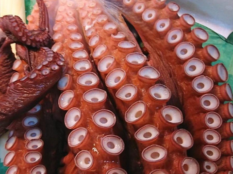 特大‼️肉厚で味の濃い水蛸❗️ 足1本×2パック❗️青森県　津軽海峡産❗️⭐️ 採れたてボイル済み⭐️
