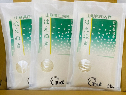 山形県産特別栽培米はえぬき（白米）２ｋｇ×３袋
