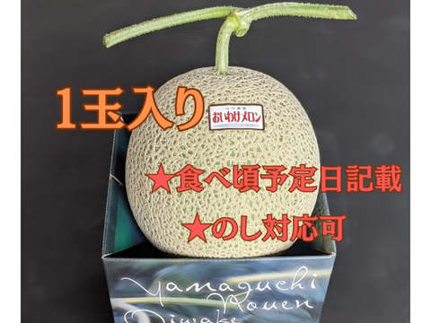 ギフトに大人気 【北海道メロン】 1玉入り　大玉
