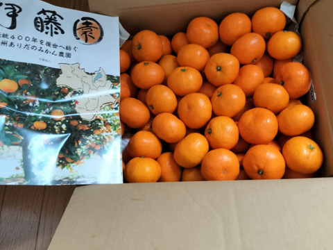 感動のみかん！防腐剤不使用S~Mサイズ5kg とみ子ばぁばの宮川早生みかん＜有田産>【夜市限定】