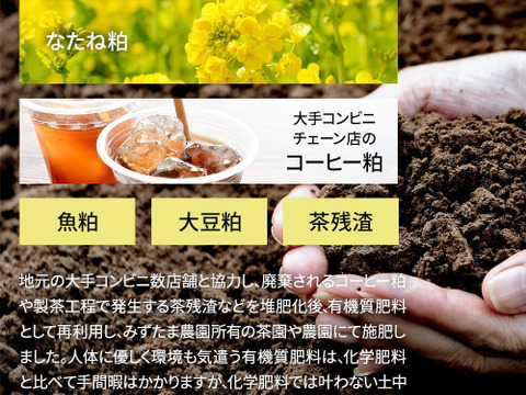 【メール便】農薬も化学肥料も使わないで育てたお茶 2.5g×100p 深蒸し茶