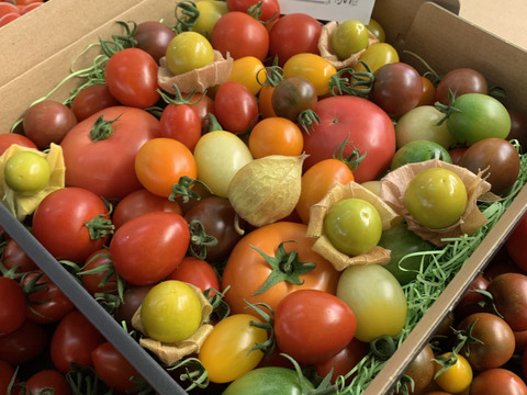 贈り物にはこれ♪龍宮ジュエリーギフト✨