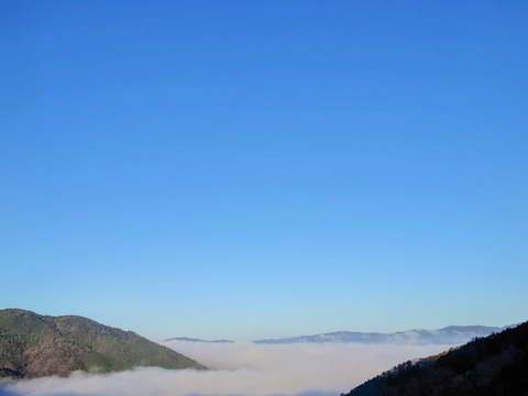 丁寧に手作りした乾燥菊芋　4０g✖️８袋